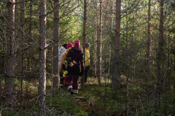 Metsäkylpyohjaaja-koulutuksen varaus - 20.-23.11.2025 - Image 4