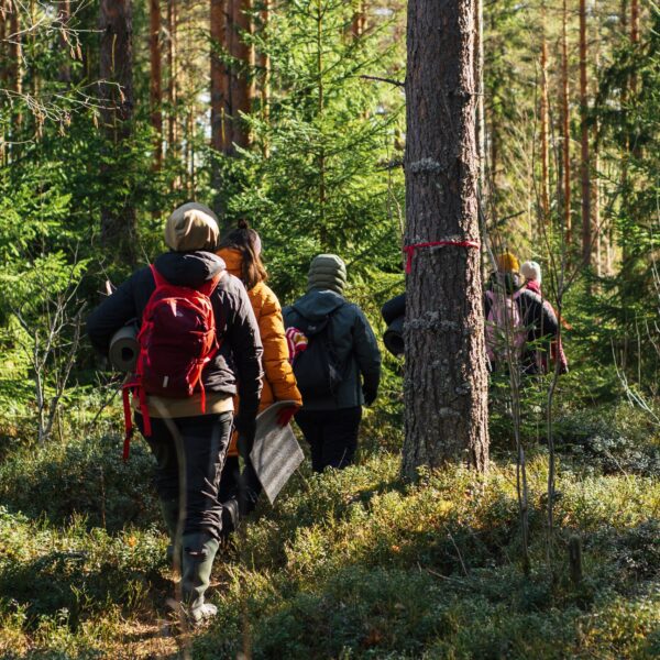 Metsäkylpyohjaaja-koulutuksen varaus - 2026 - Image 3