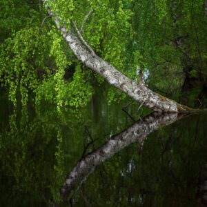 Luontoretriitti – Alkukesän lempeä hengähdys 13-14.6