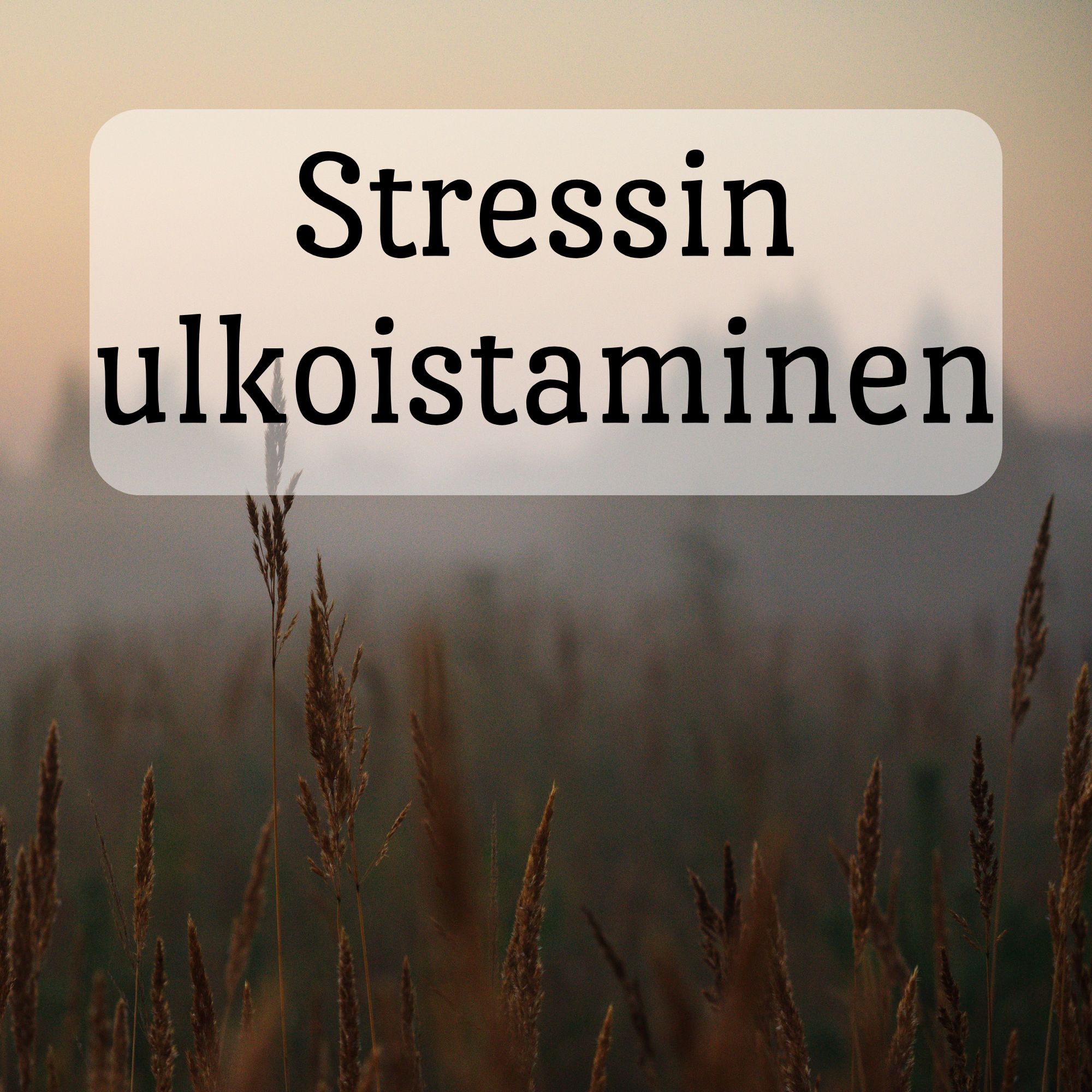 Meditaatio-äänitteet - Image 4